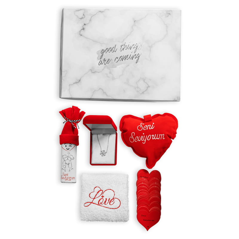 Sevgiliye Gümüş Kolyeli Seni Seviyorum Hediye Kutusu