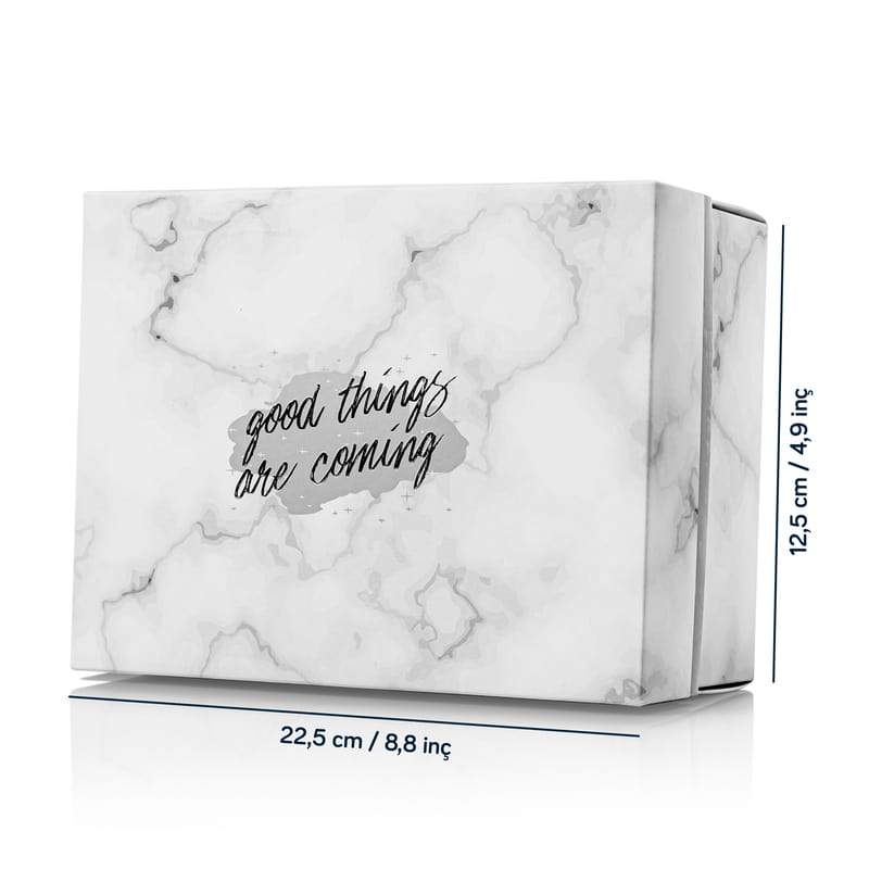 Sevgiliye Gümüş Kolyeli Seni Seviyorum Hediye Kutusu