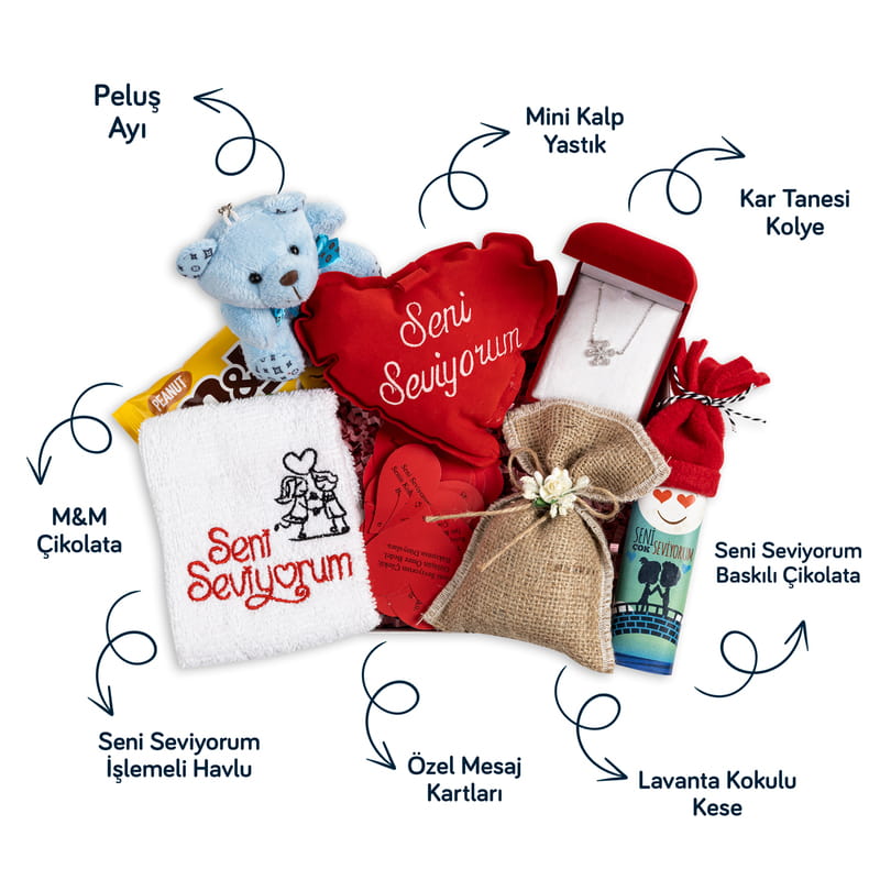 Sevgiliye Kar Taneli Gümüş Kolye Seni Seviyorum Hediye Kutusu