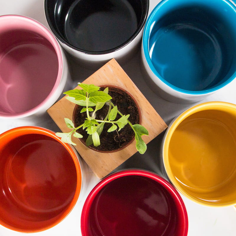 Fotoğraf Baskılı 2'li Renkli Kahve Kupa Seti