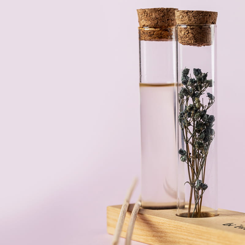 Eğlenceli Motto Tasarımlı Dekoratif Set - Bambu Oda Kokusu Şişesi