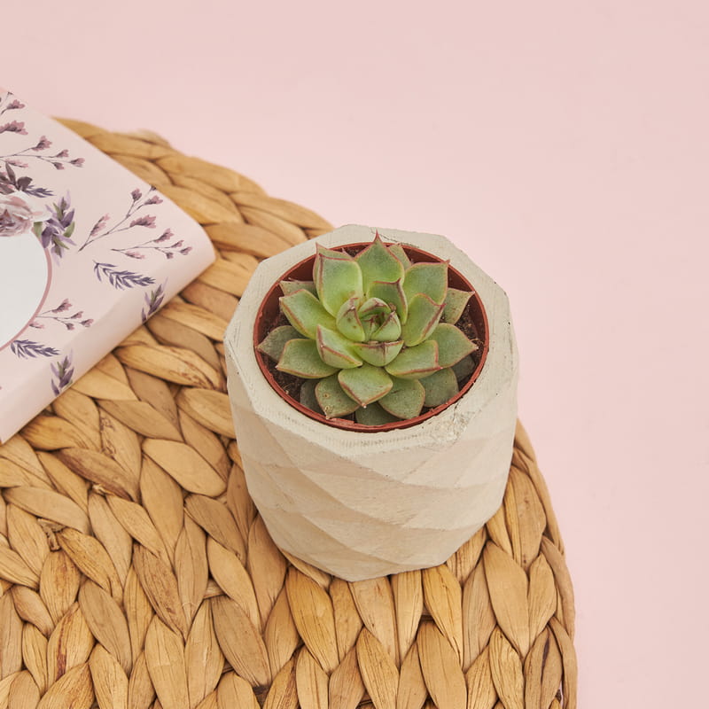 Floral İsimli Hediye Kutusu