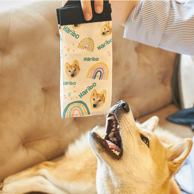 Evcil Hayvan Fotoğraf ve İsim Baskılı Rainbow Çorap