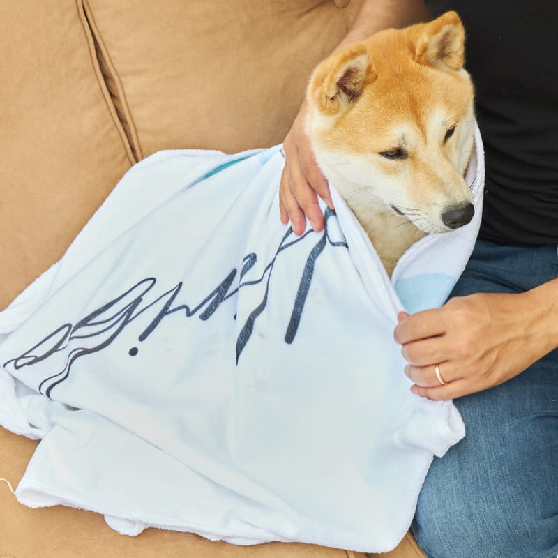 Evcil Hayvan Hediyesi Sulu Boya Fotoğraf Baskılı İsme Özel Havlu