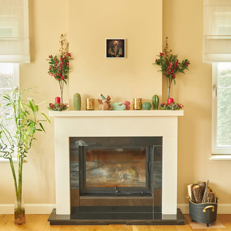 Evcil Hayvan Orta Çağ Tasarımlı Portre Beyaz Çerçeve