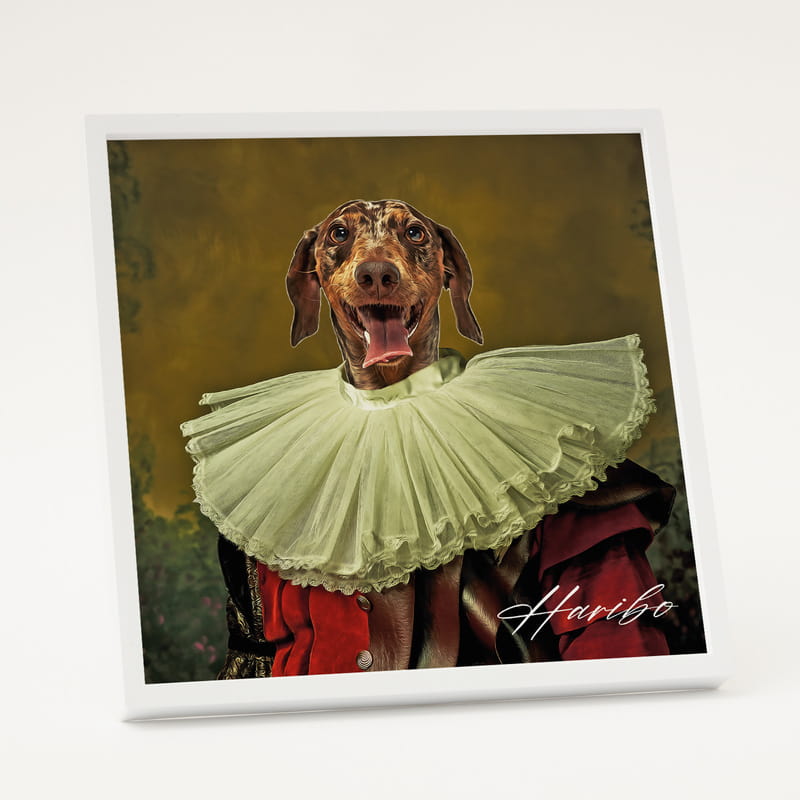 Evcil Hayvan Tasarımlı Beyaz Fotoğraf Çerçevesi