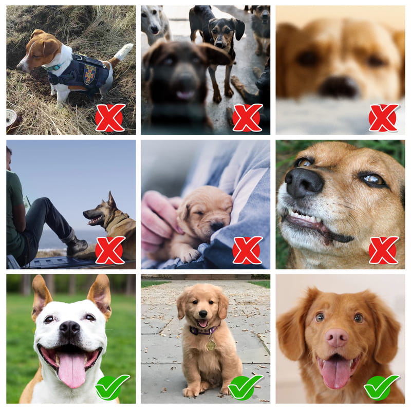 Evcil Hayvan Yağlı Boya Tasarımlı Derin Fotoğraf Çerçevesi