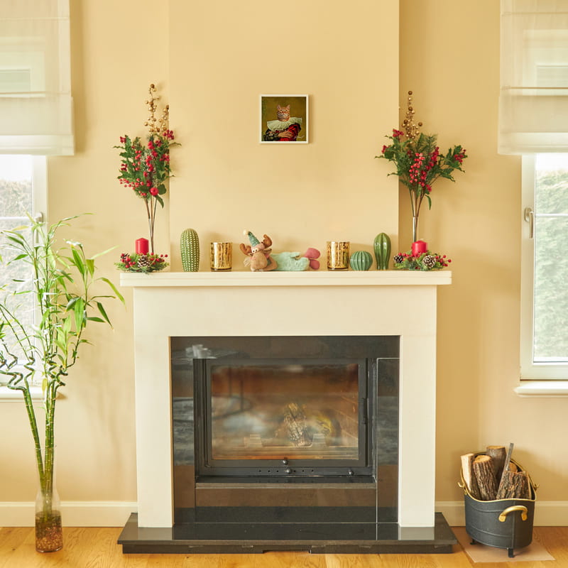 Evcil Hayvan Yağlı Boya Tasarımlı Kare Beyaz Fotoğraf Çerçevesi