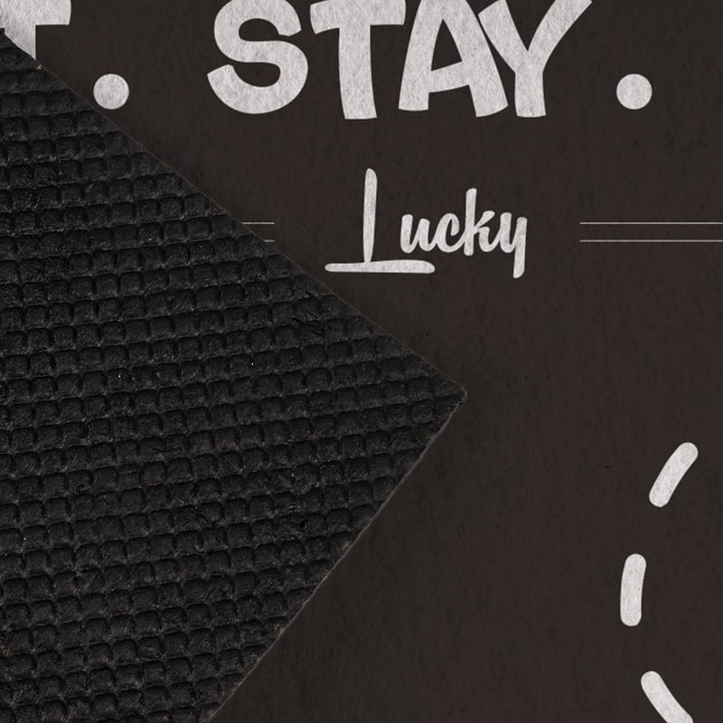 Evcil Hayvanlara Özel İsim Baskılı Mama Kabı Paspası