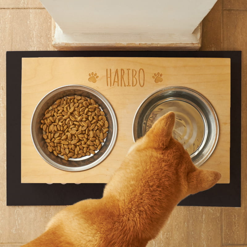 Evcil Hayvanlara Özel İsim Baskılı Mama Kabı Paspası