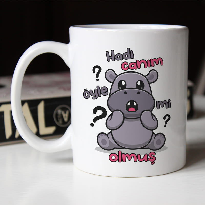 Hadi Canım Öyle Mi Olmuş Baskılı Esprili Kupa Bardak