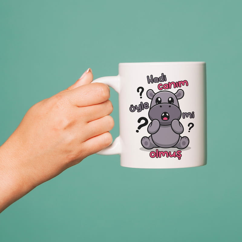 Hadi Canım Öyle Mi Olmuş Baskılı Esprili Kupa Bardak