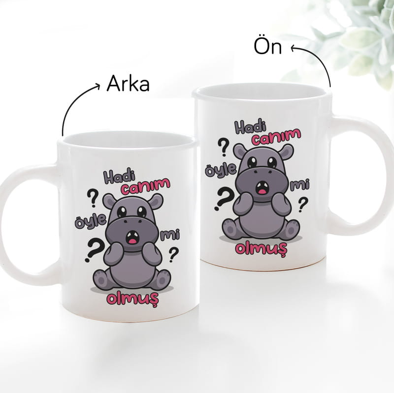 Hadi Canım Öyle Mi Olmuş Baskılı Esprili Kupa Bardak