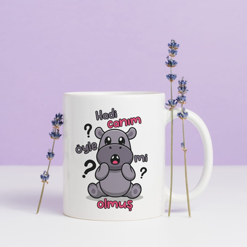 Hadi Canım Öyle Mi Olmuş Baskılı Esprili Kupa Bardak