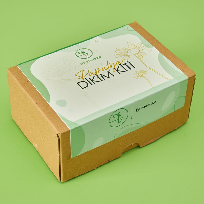 Papatya Dikim Kiti Hediye Kutusu