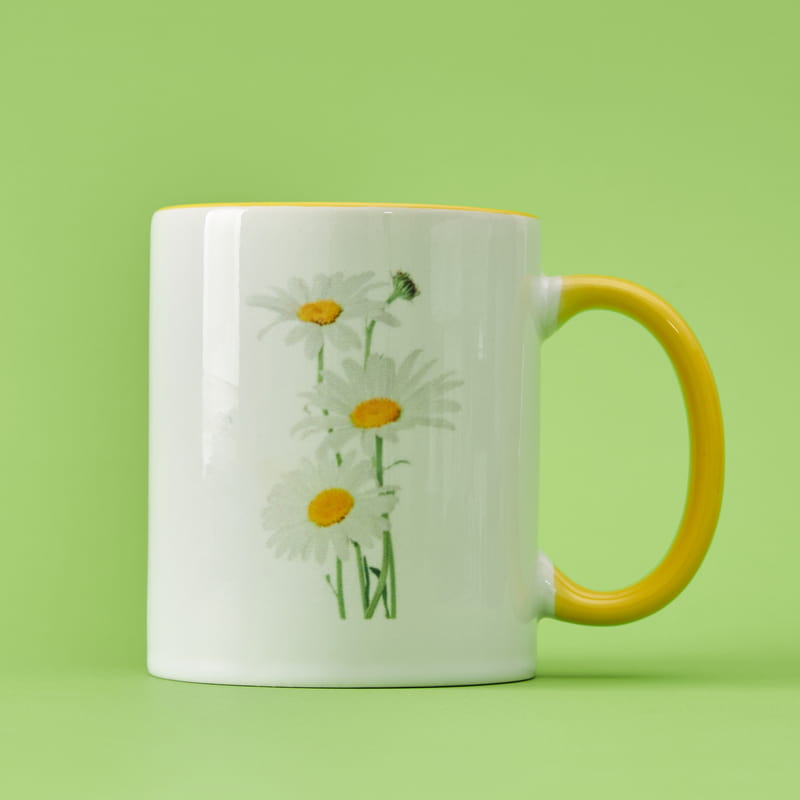 Papatya Dikim Kiti Hediye Kutusu