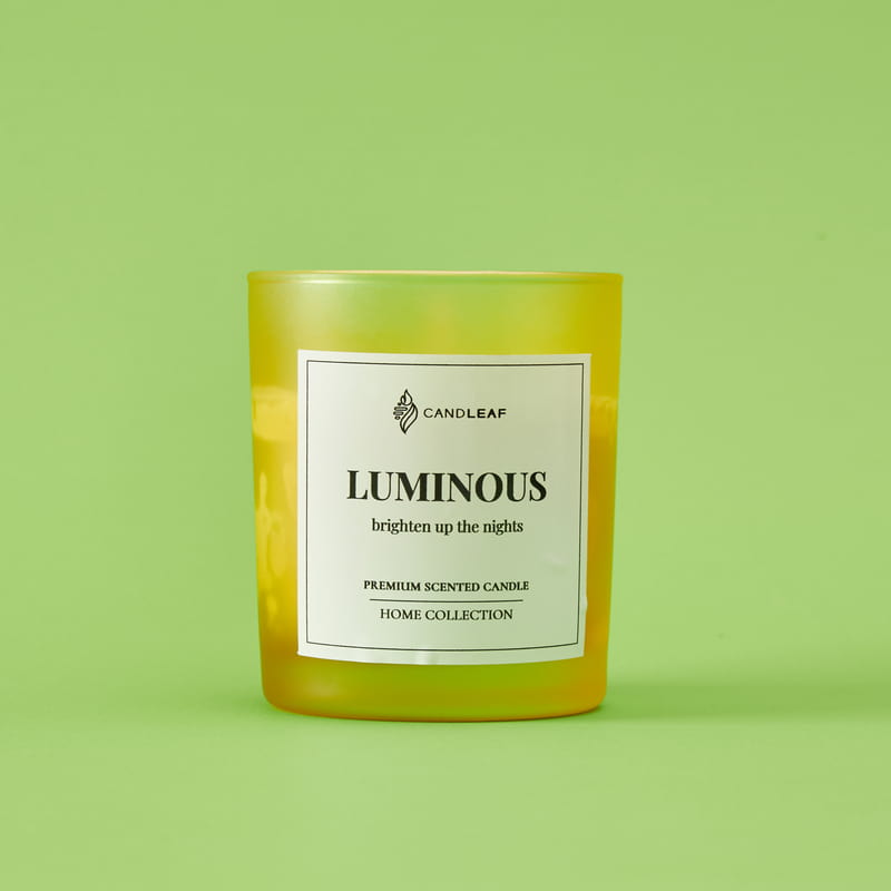 Papatya Dikim Kiti Hediye Kutusu