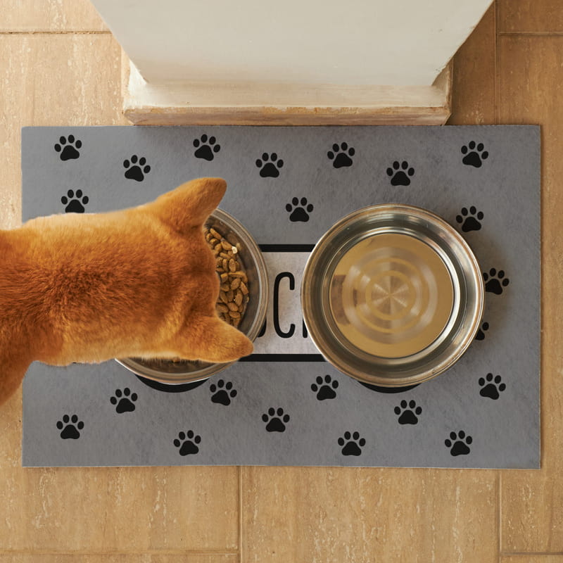 Pati Tasarımlı İsme Özel Mama Kabı Paspası