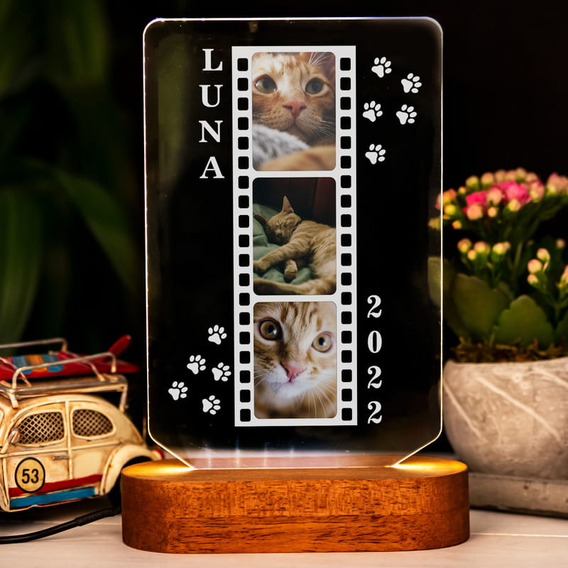 Kedinizin Fotoğrafına Özel Pati Tasarımlı 3D Led Lamba