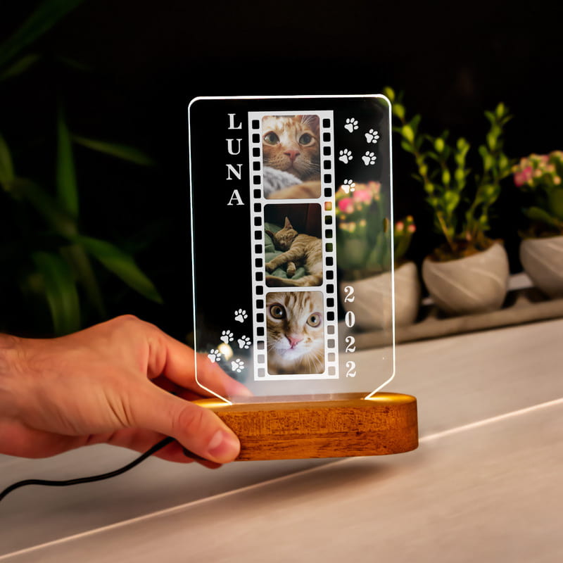 Kedinizin Fotoğrafına Özel Pati Tasarımlı 3D Led Lamba