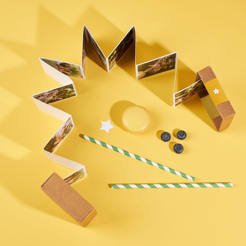 Arkadaşa Hediye Akordiyon Fotoğraf Kutusu