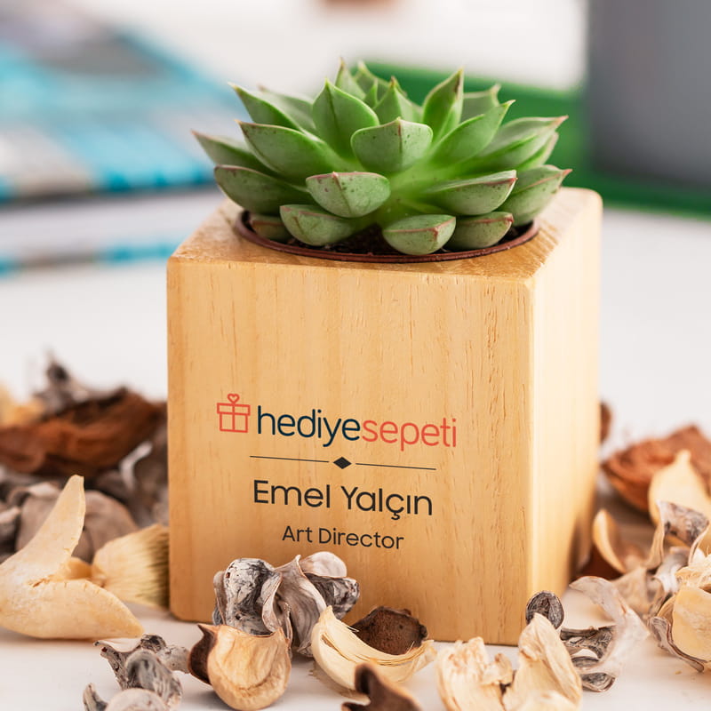 Kişiselleştirilebilir Logo ve İsim Baskılı Ahşap Sukulent