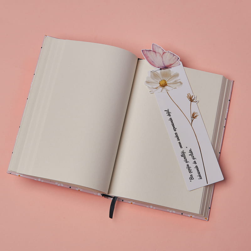 Big Plan Inside Hediye Kutusu