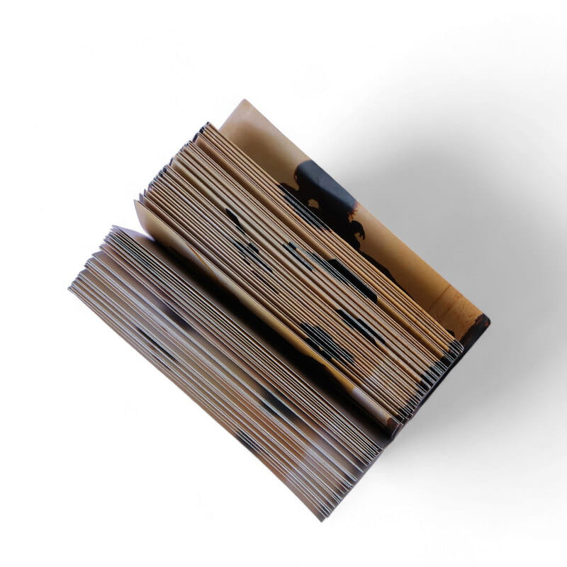 Renk Seçenekli Hareketli Anı Kitabı Flip Book