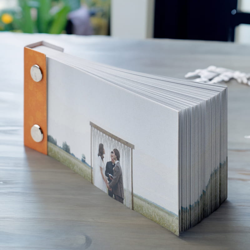 Renk Seçenekli Hareketli Anı Kitabı Flip Book