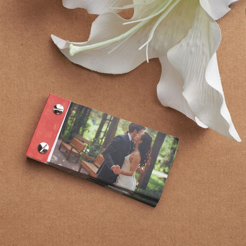 Renk Seçenekli Hareketli Anı Kitabı Flip Book