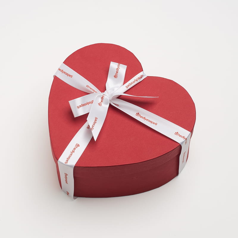 100 Dil Seni Seviyorum Gümüş Kolyeli Romantik Hediye Kutusu