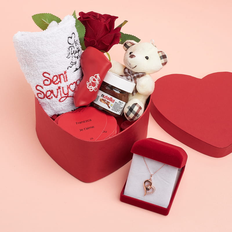 100 Dil Seni Seviyorum Gümüş Kolyeli Romantik Hediye Kutusu