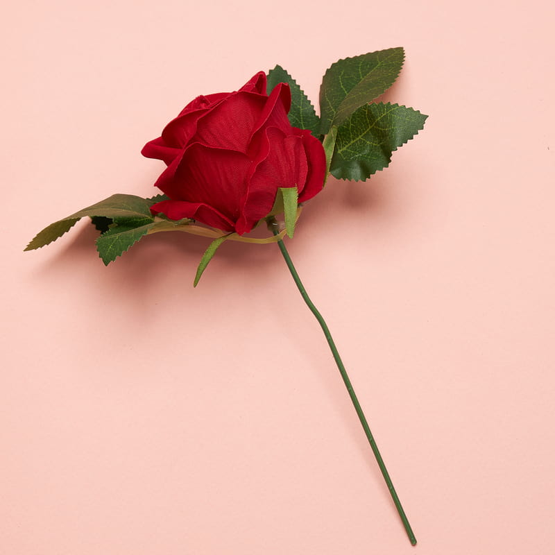 Fotoğraflı İskambil Kartları Sevgili Hediye Kutusu