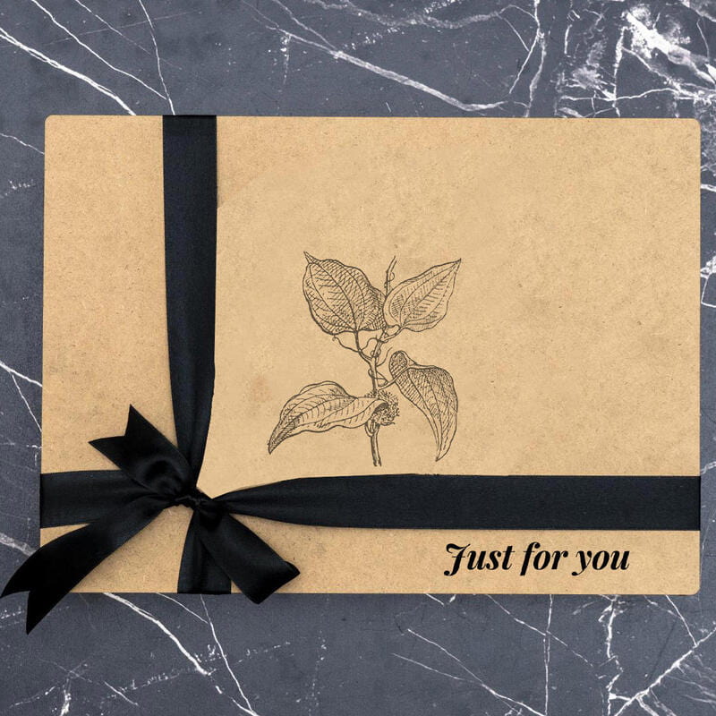 Here Comes the Sun: Işıltılı Başlangıçlar İçin Hediye Kutusu