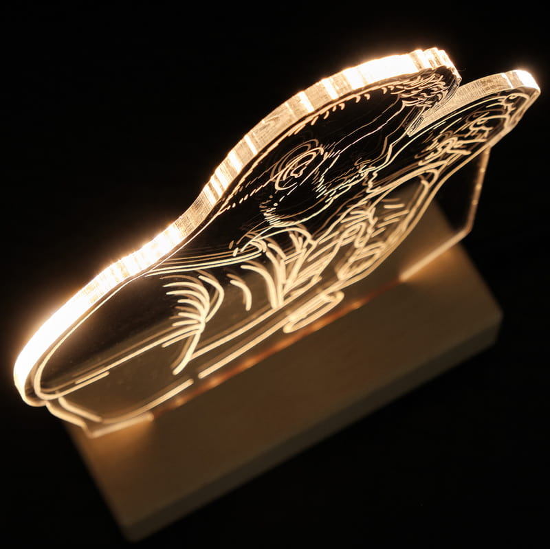 İlk Babalar Günü Hediyesi Fotoğraflı Line Art Led Lamba