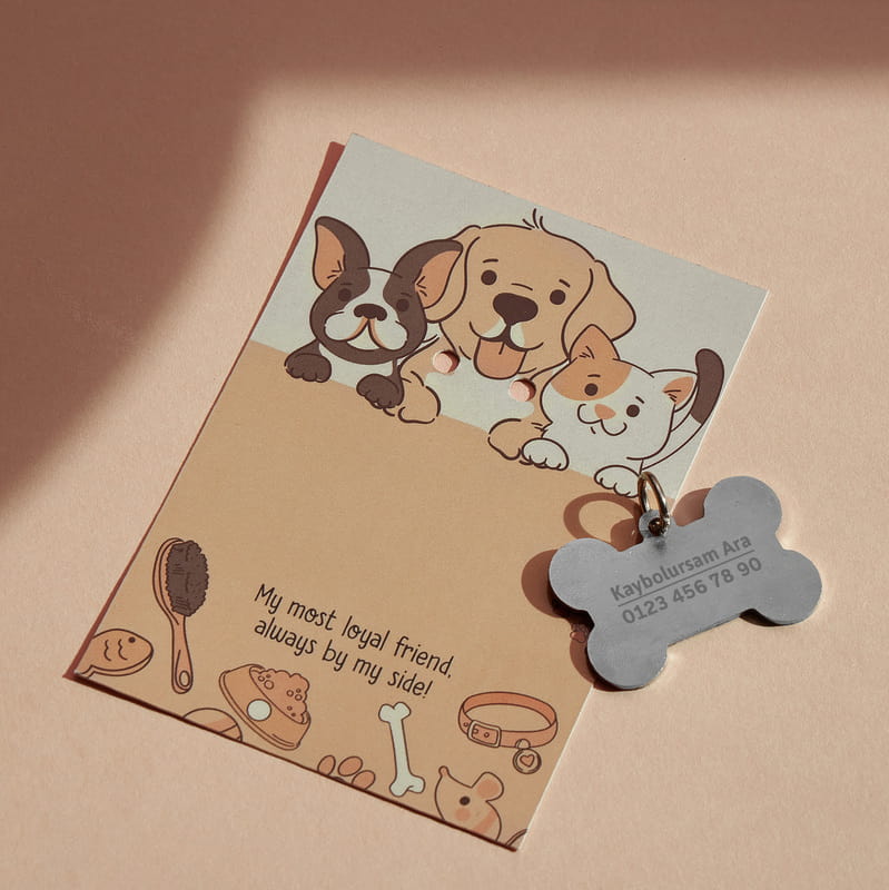 İsimli Kaybolursam Ara Evcil Hayvan Künyesi