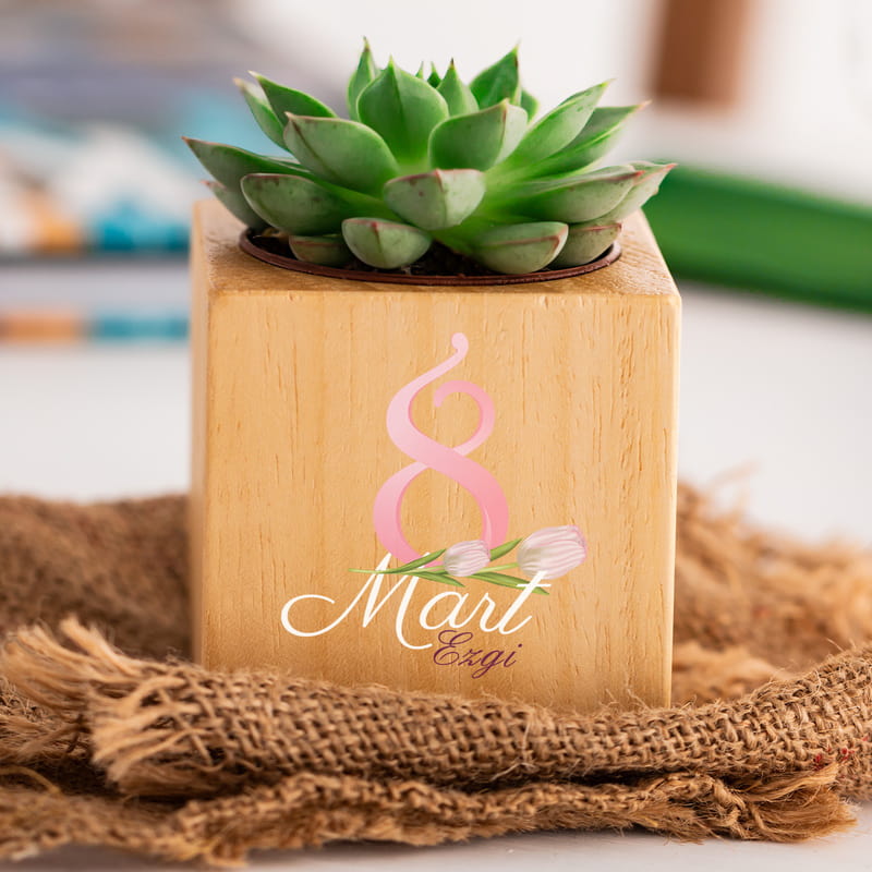 Kadınlar Günü Hediyesi İsimli Ahşap Sukulent
