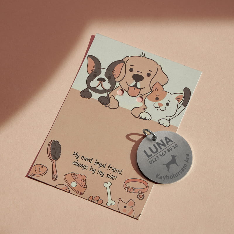 Kaybolursam Ara Kişiselleştirilebilir Köpek Tasma İsimliği