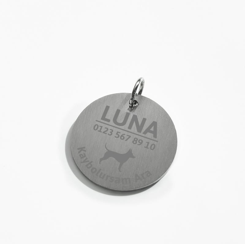 Kaybolursam Ara Kişiselleştirilebilir Köpek Tasma İsimliği