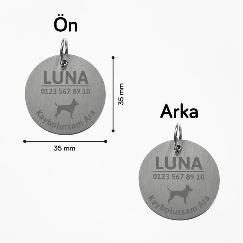 Kaybolursam Ara Kişiselleştirilebilir Köpek Tasma İsimliği