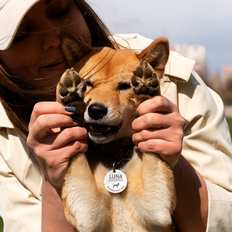 Kaybolursam Ara Kişiselleştirilebilir Köpek Tasma İsimliği