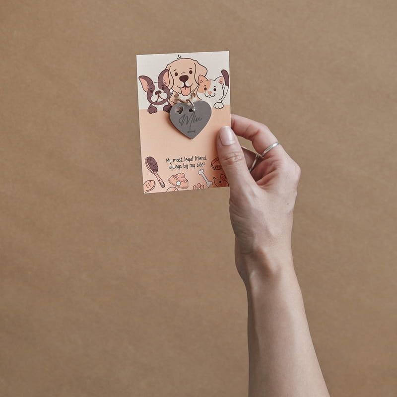 Kaybolursam Ara Kişiye Özel Kedi İsimliği