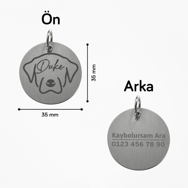 Kaybolursam Ara Köpek Tasma İsimliği