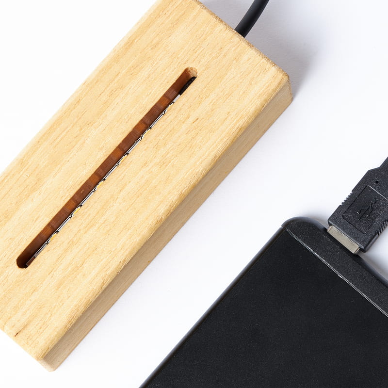 Kişiye Özel Evcil Hayvanlı Line Art Led Lamba