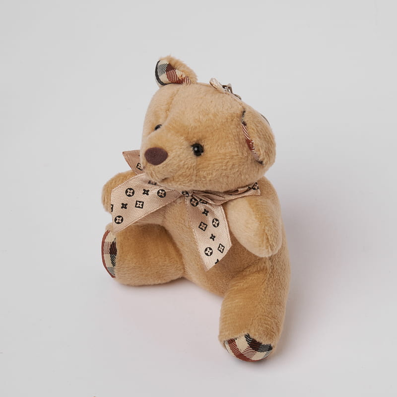 Anı Fotoğraf Kolyeli Tatlı Peluş Hediye Kutusu