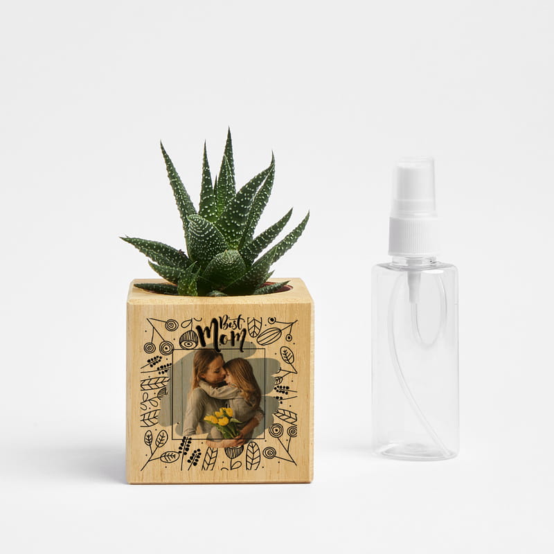 Anneler Günü Hediyesi Fotoğraf Baskılı Sukulent Naturacube