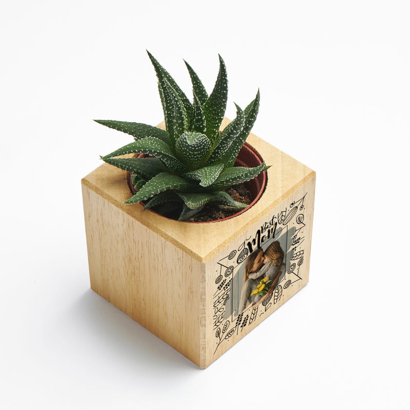 Anneler Günü Hediyesi Fotoğraf Baskılı Sukulent Naturacube