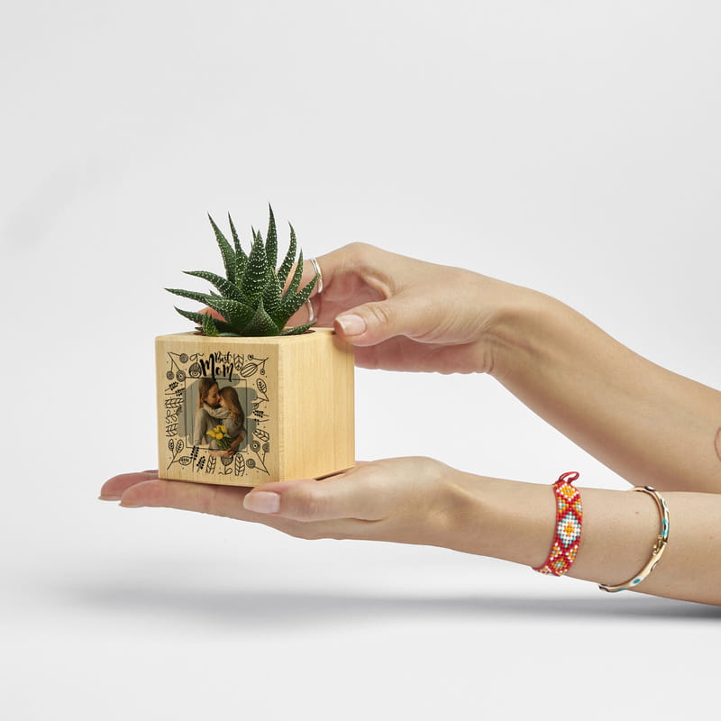 Anneler Günü Hediyesi Fotoğraf Baskılı Sukulent Naturacube
