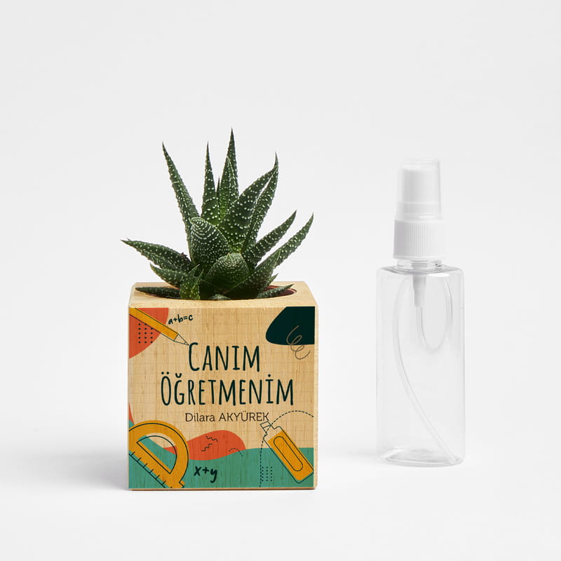 Canım Öğretmenim Hediye Kişiye Özel Saksılı Sukulent Naturacube