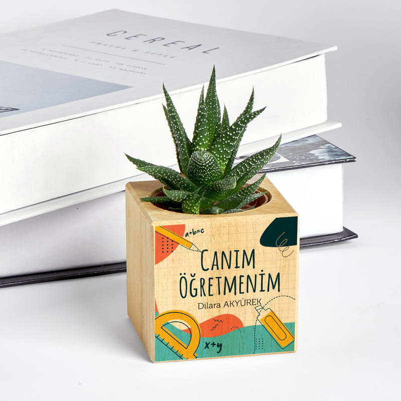 Canım Öğretmenim Hediye Kişiye Özel Saksılı Sukulent Naturacube